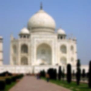 taj blurred